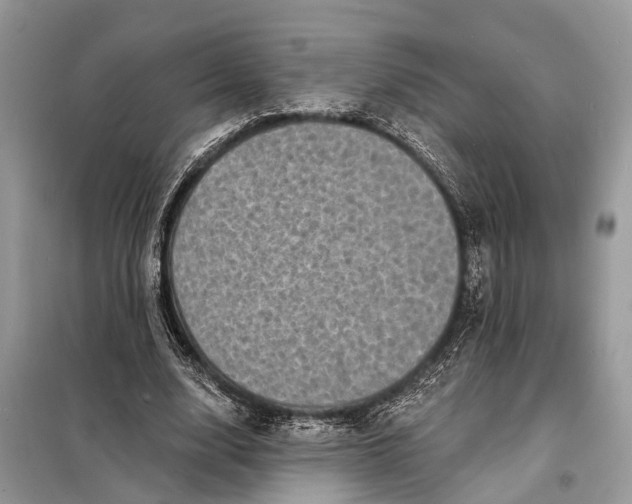 X0000098200632200805081112