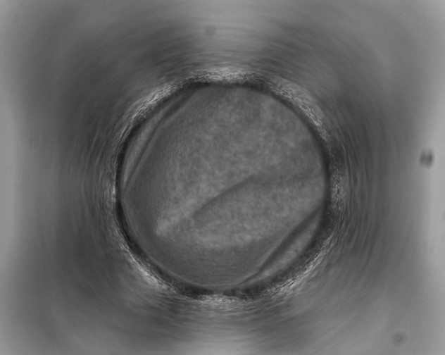 X0000098200633200805081112