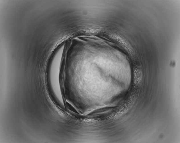 X0000098200634200805081112