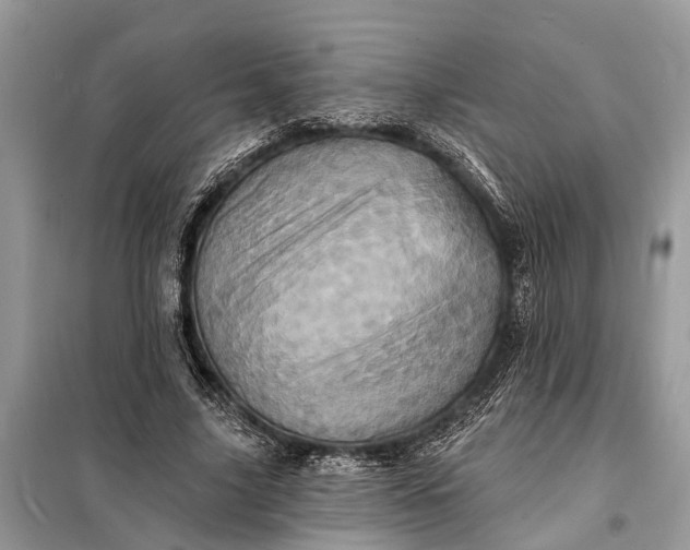 X0000098200635200805081112