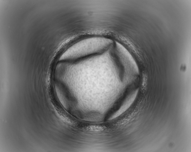 X0000098200636200805081112