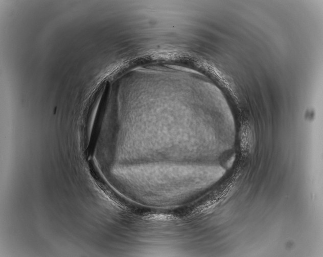 X0000098200637200805081112