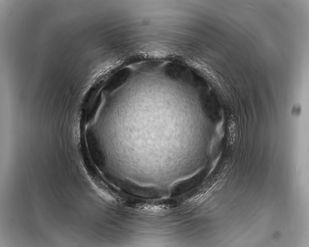 X0000098200638200805081112