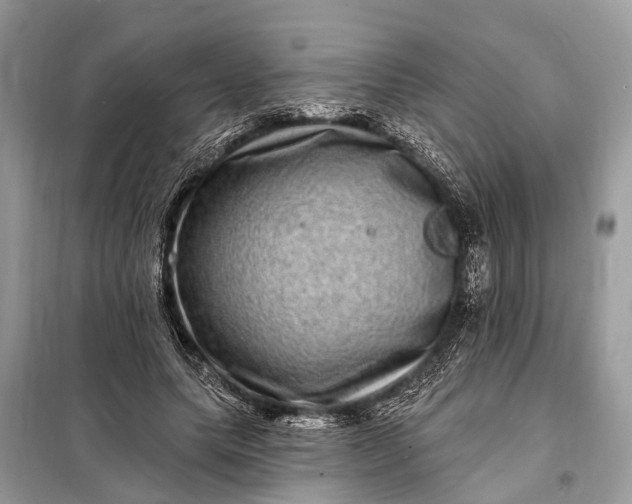 X0000098200639200805081112