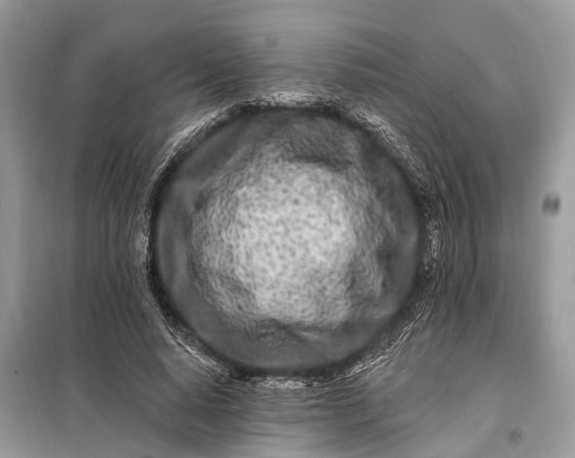 X0000098200640200805081112
