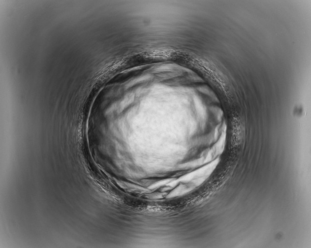 X0000098200641200805081112