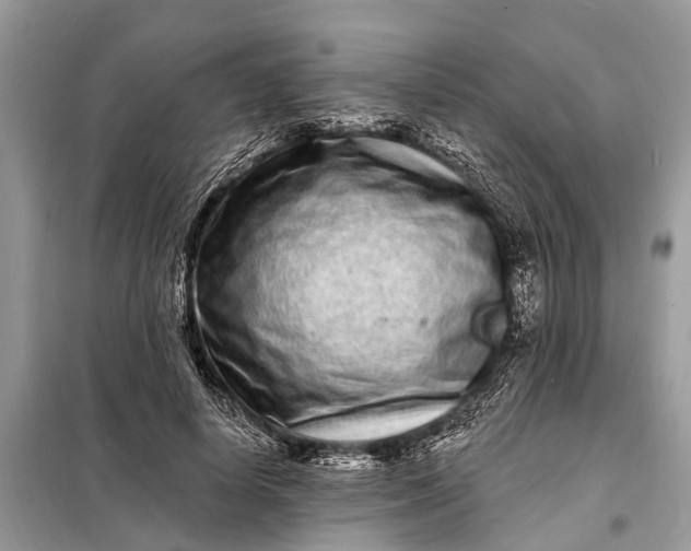 X0000098200642200805081112