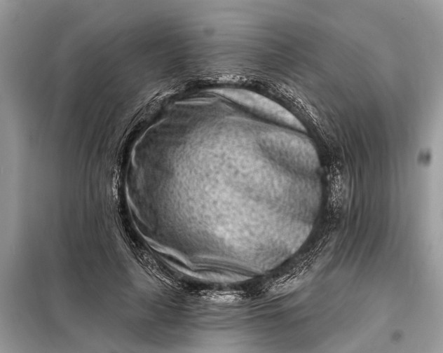 X0000098200643200805081112