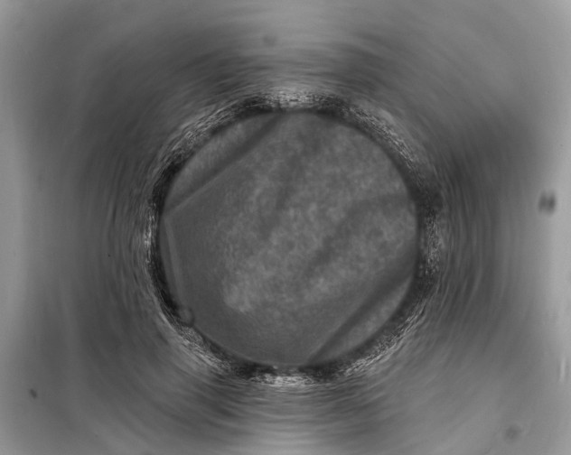 X0000098200645200805081112