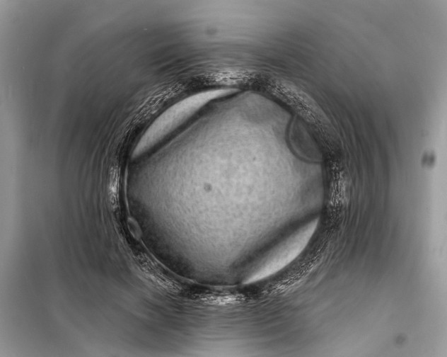 X0000098200646200805081112