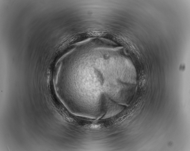 X0000098200647200805081112
