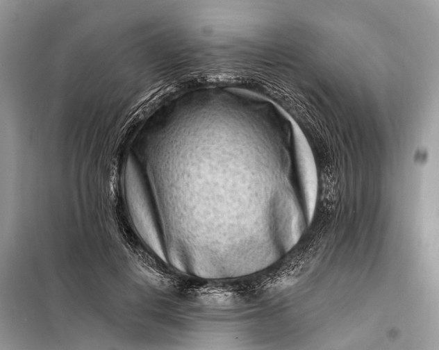 X0000098200648200805081112