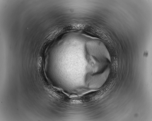 X0000098200649200805081112