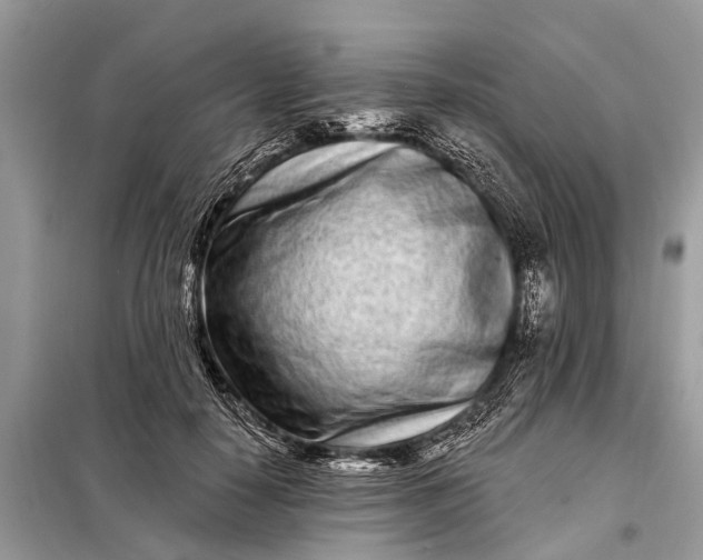 X0000098200650200805081112