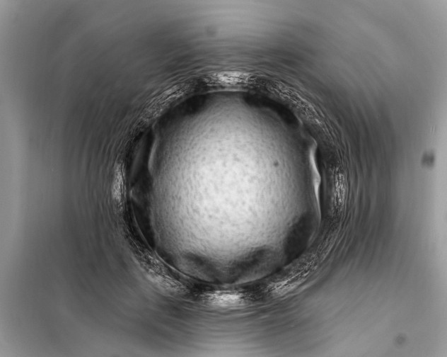 X0000098200651200805081112