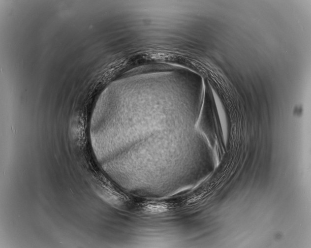 X0000098200653200805081112