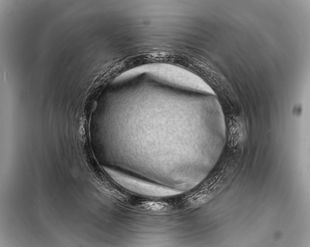 X0000098200654200805081112