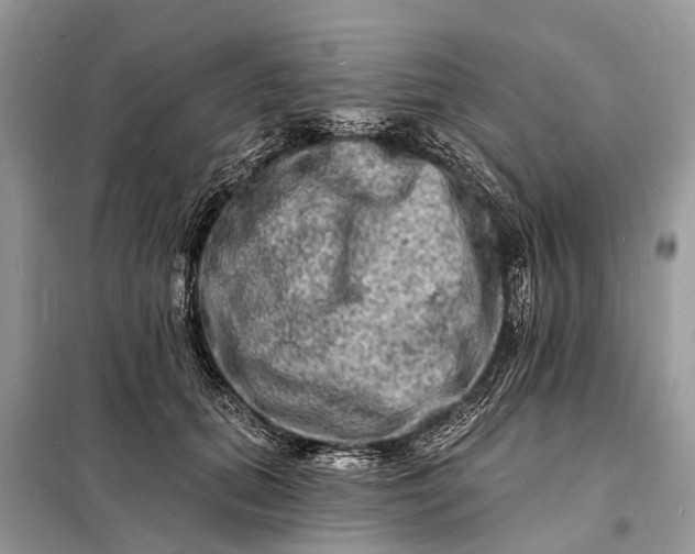 X0000098200655200805081112