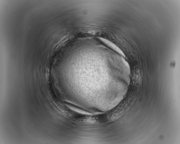 X0000098200656200805081112