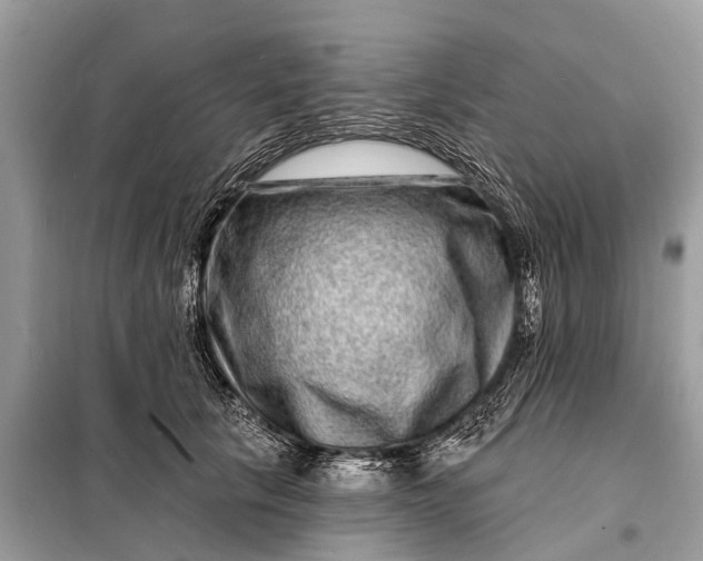 X0000098200657200805081112