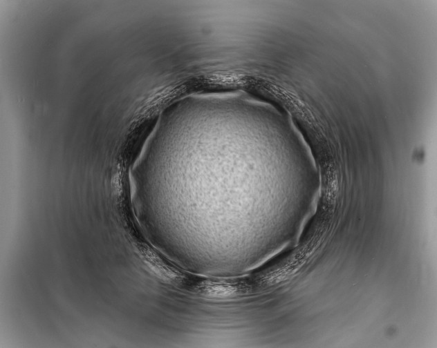 X0000098200658200805081112
