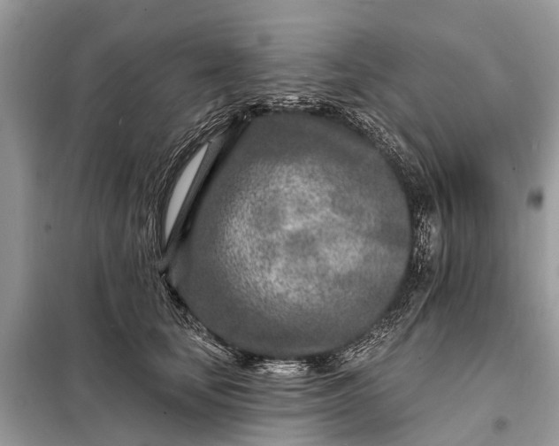 X0000098200659200805081112