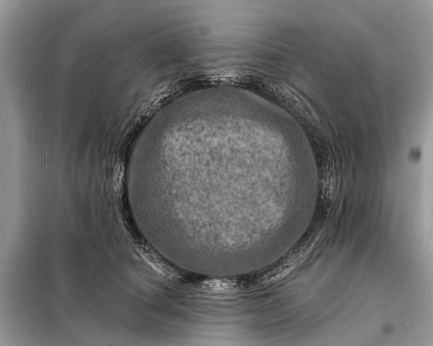 X0000098200660200805081112