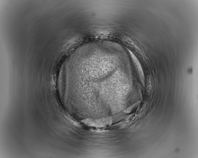 X0000098200661200805081112