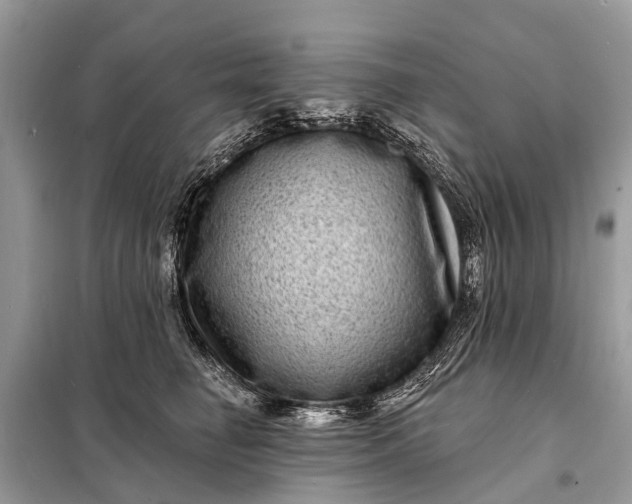 X0000098200662200805081112