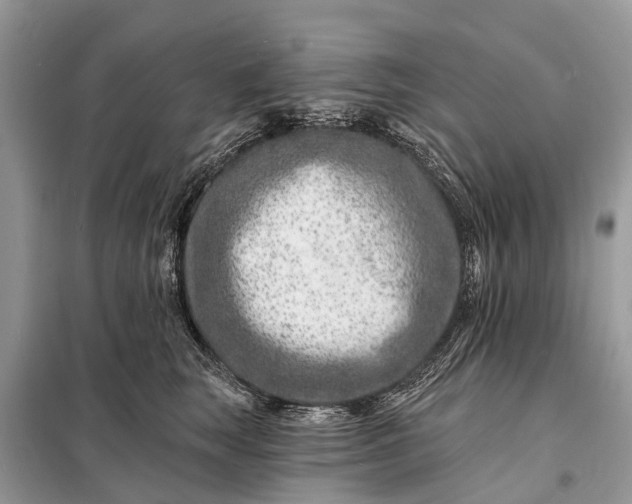 X0000098200663200805081113
