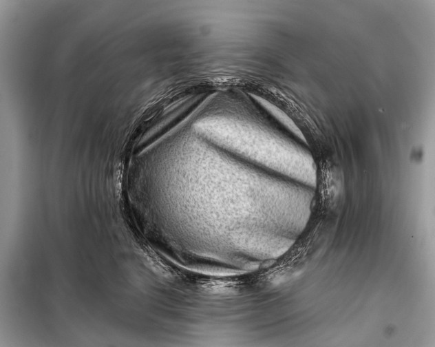 X0000098200664200805081113