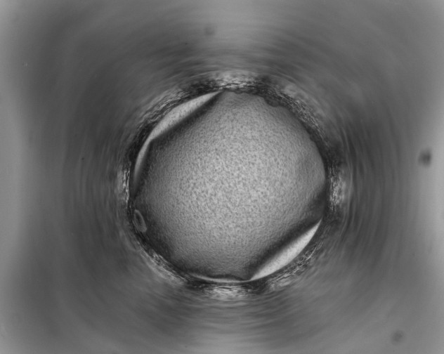 X0000098200666200805081113