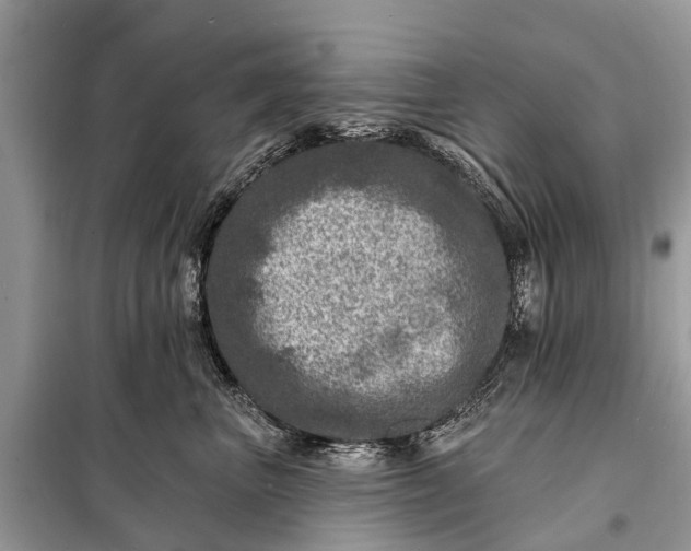 X0000098200667200805081113