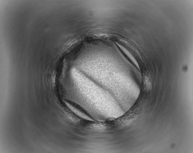 X0000098200668200805081113