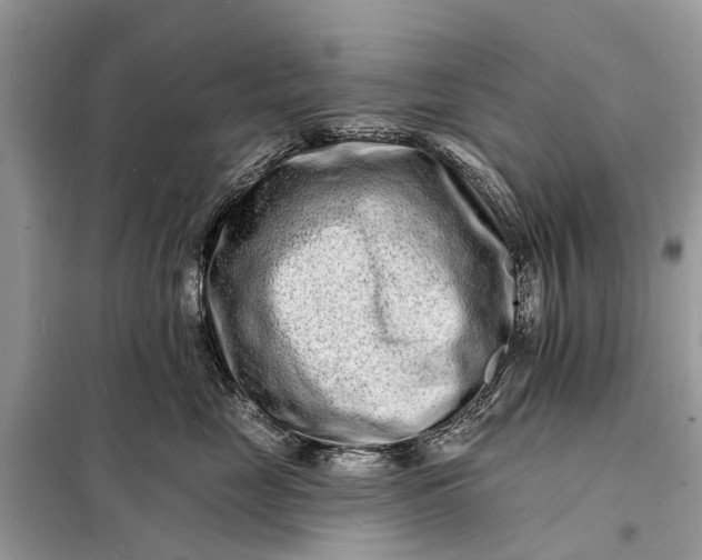 X0000098200669200805081113
