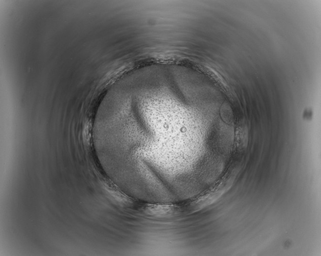 X0000098200671200805081113