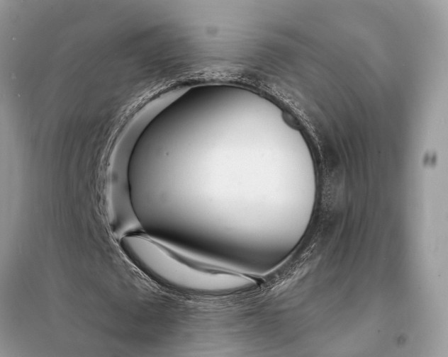X0000098200673200805081112