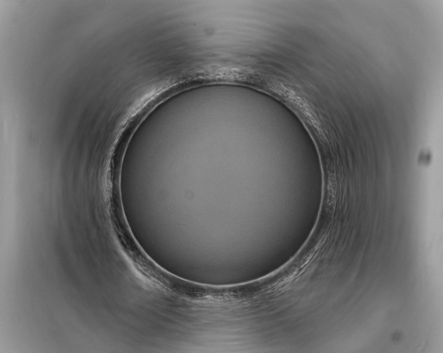 X0000098200674200805081112