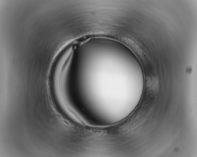 X0000098200676200805081112
