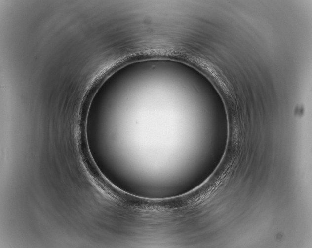X0000098200677200805081112