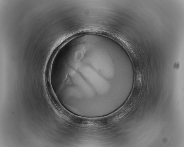 X0000098200678200805081112