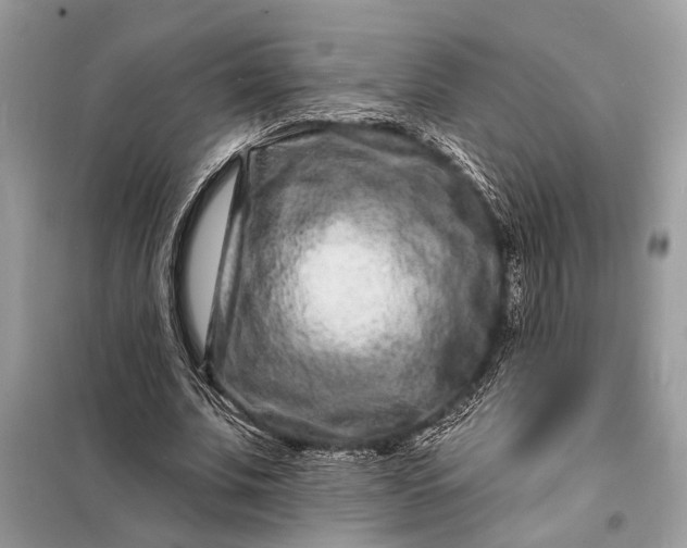 X0000098200679200805081112