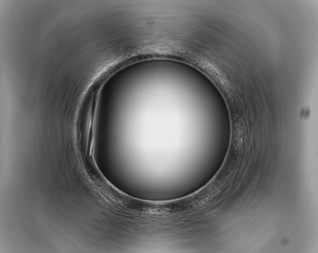 X0000098200680200805081112