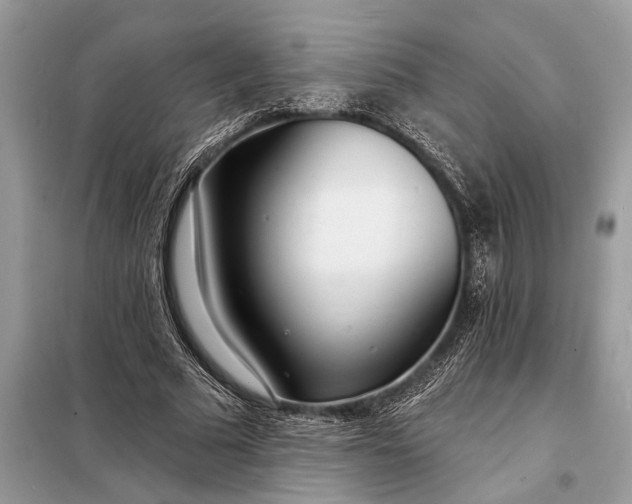 X0000098200681200805081112