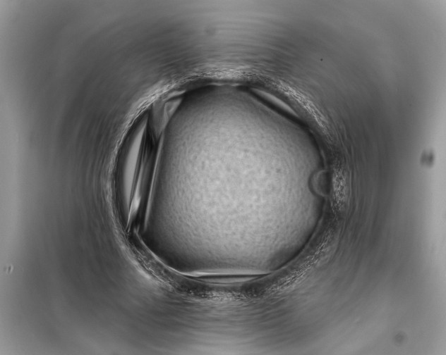 X0000098200682200805081112