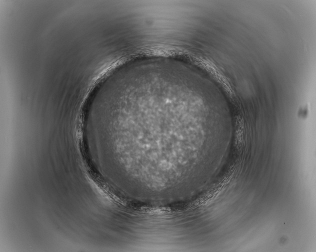 X0000098200683200805081112