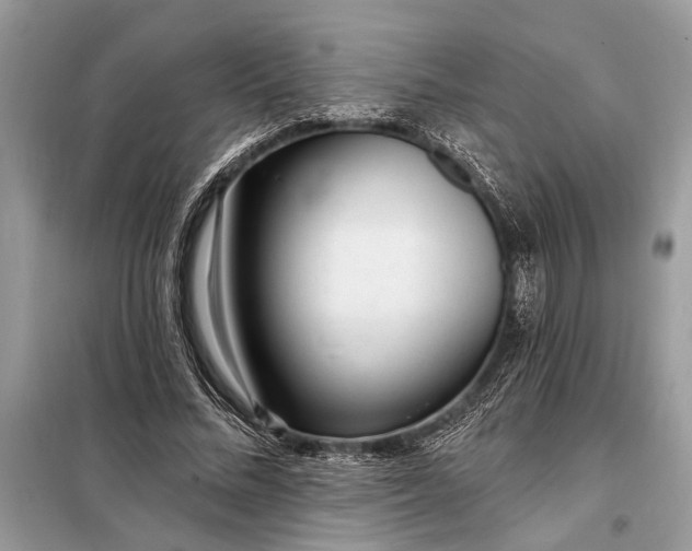 X0000098200684200805081112