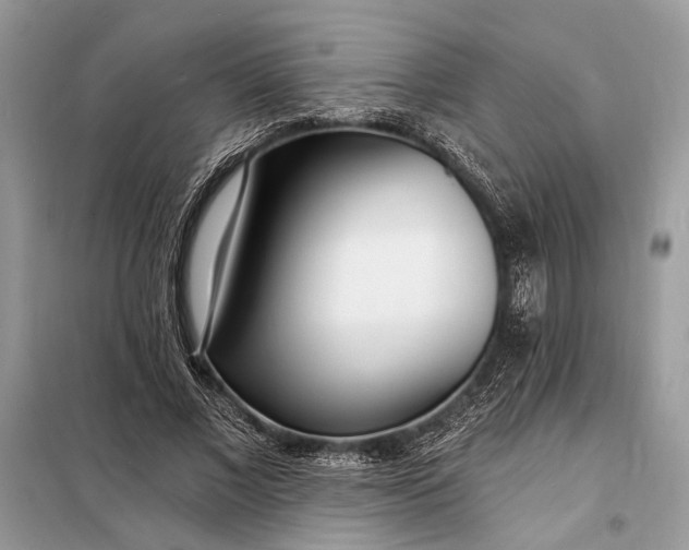 X0000098200685200805081112