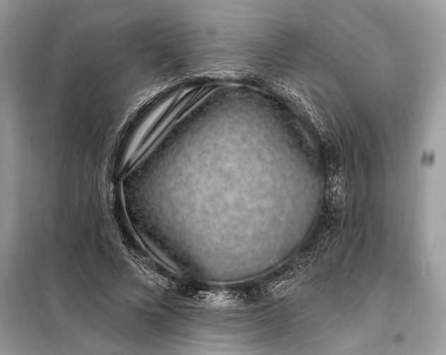 X0000098200688200805081112