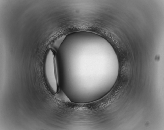 X0000098200689200805081112